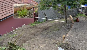 La fascetta del caco ripulita