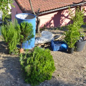 Nuovi vasi in arrivo!
