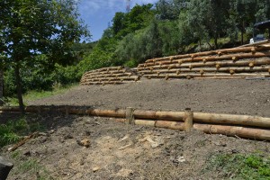 La viminata della fascetta del caco e, sullo sfondo, la palificata a due livelli