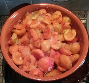 Fase 5: a fuoco lento dopo 1 ora di riposo