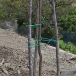Particolare della struttura di sostegno