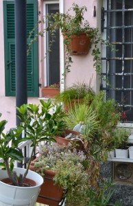 Scorcio della finestra della cucina