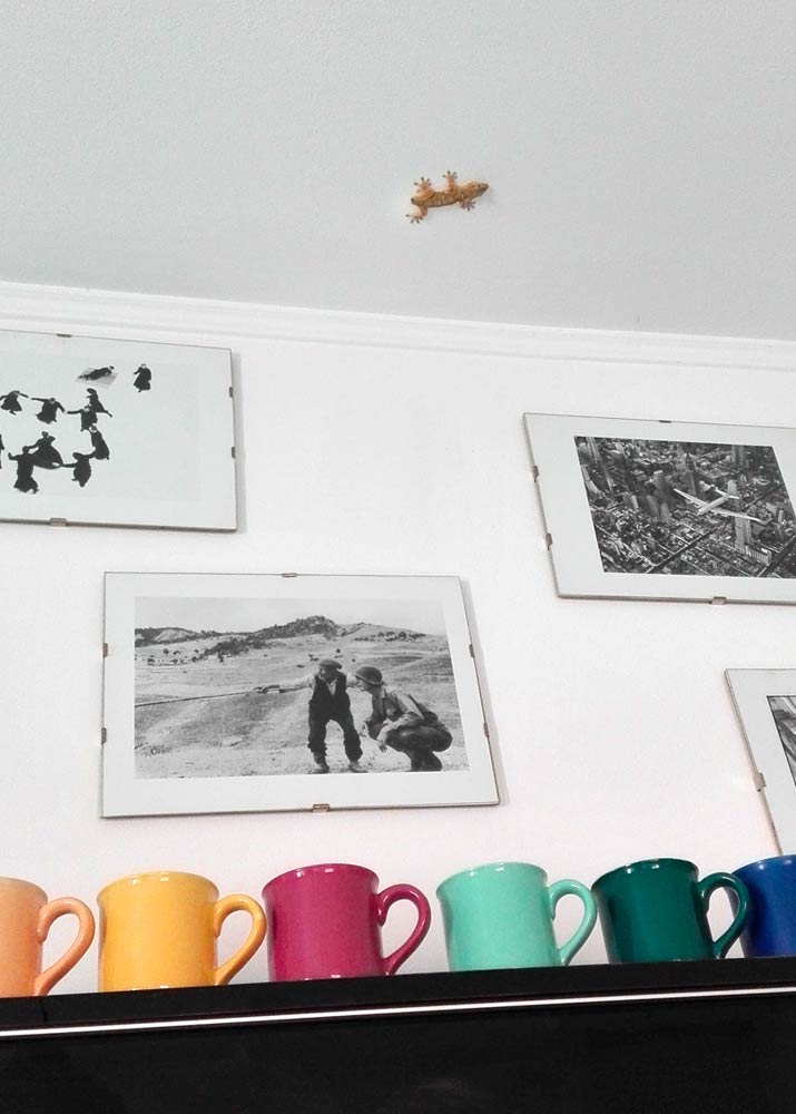 Un geco sul soffitto