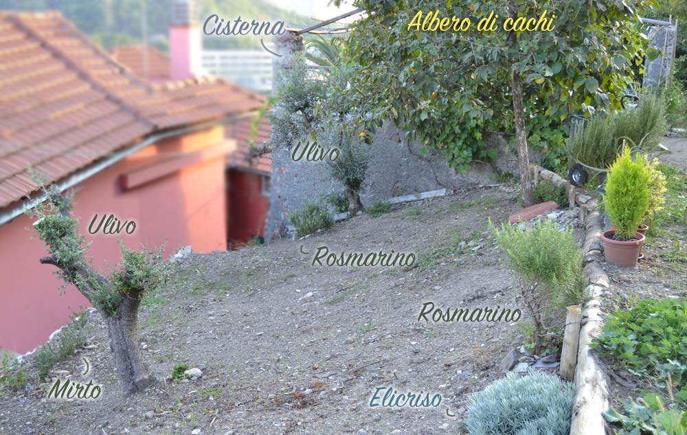 Fascetta Mediterranea, 22 settembre
