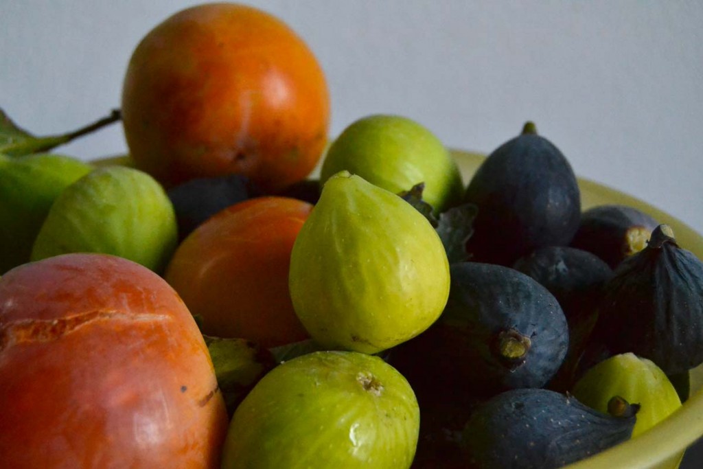 Fine settembre, raccolta di fichi... e cachi