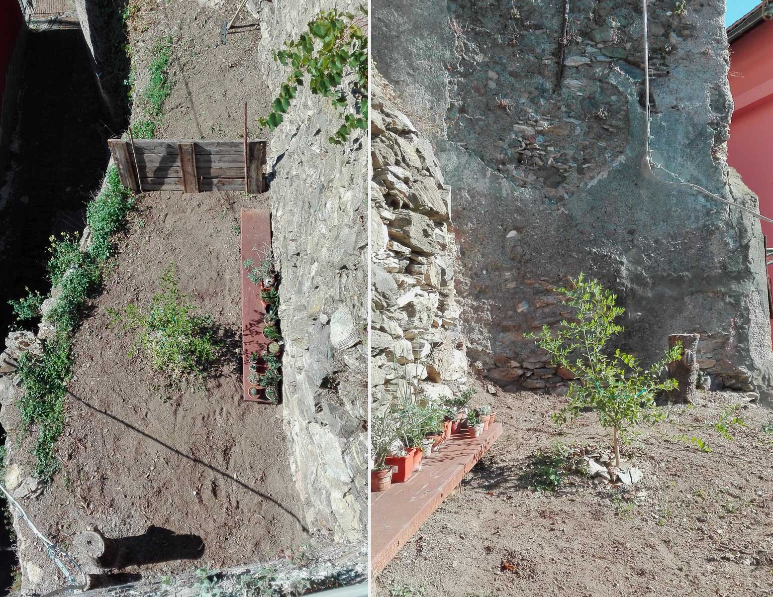 Dall'alto e di fronte: la fascetta col limone australiano (Citrus australasica) e la sistemazione delle piante succulente (molte caudiciformi)