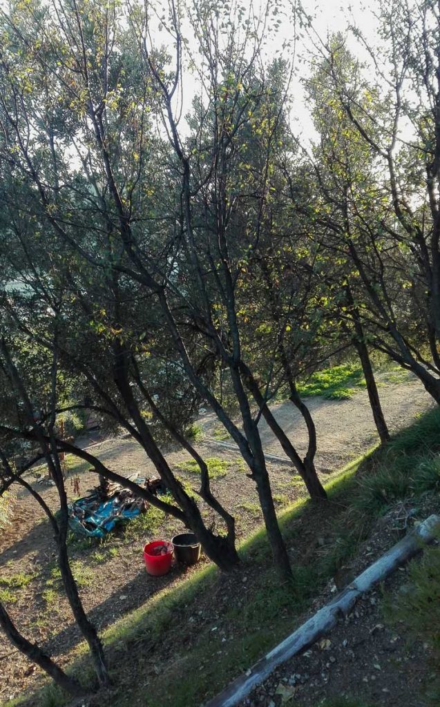 Vista dagli Ulivi verso le Terrazze