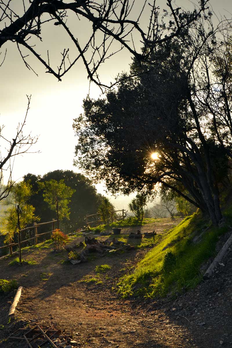 bocage spagna
