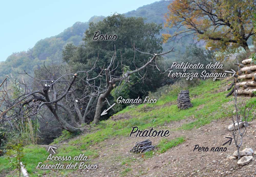 Accesso alla Fascetta del Bosco da sotto il Grande Fico