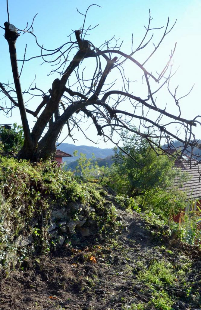Dalla fascetta, vista verso sud