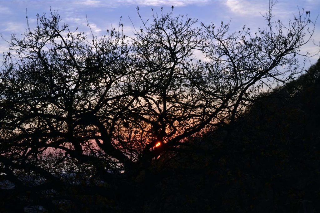 Un tramonto in controluce