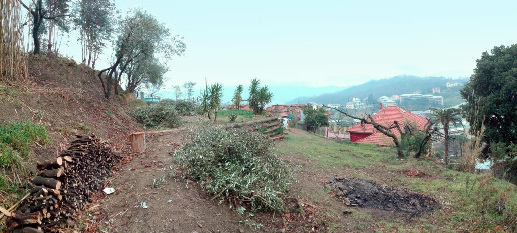 panorama