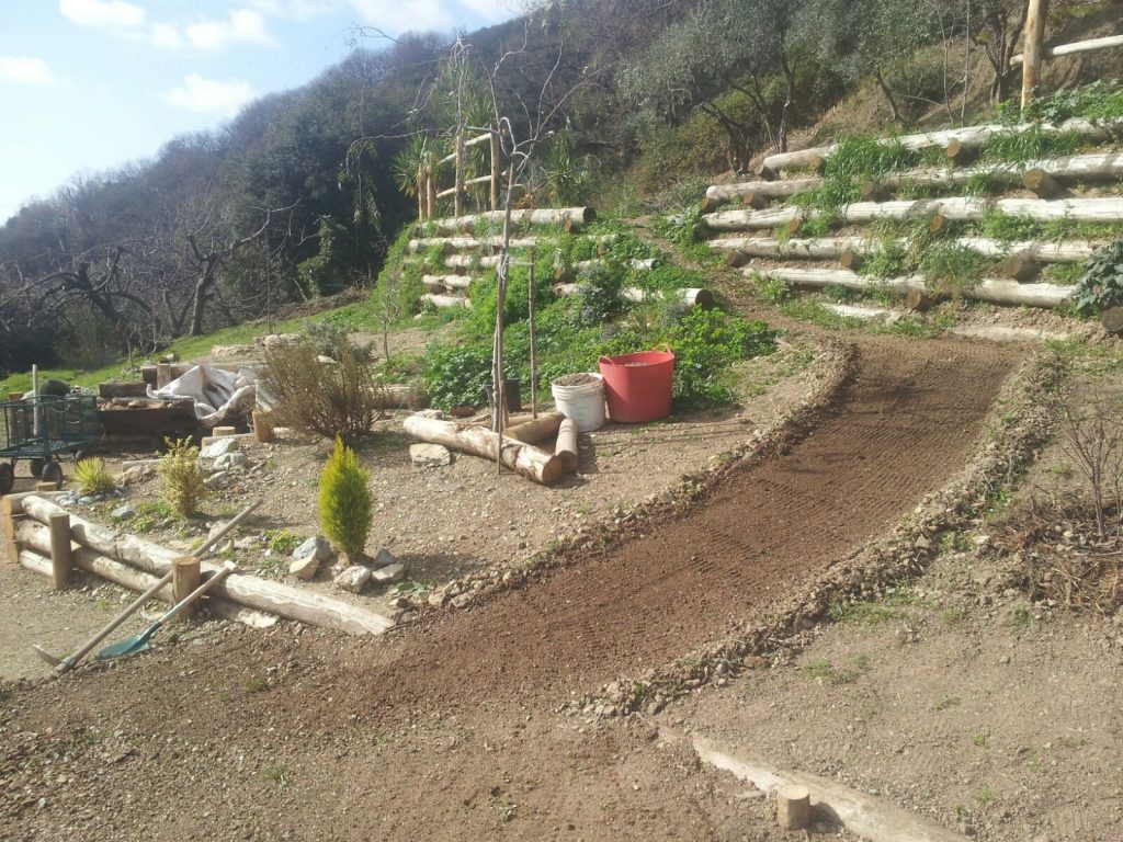 stradina 1