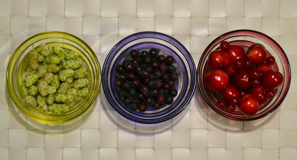 frutti colorati