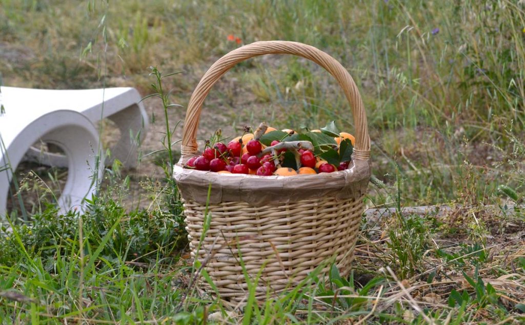 Nespole e amarene, 4 giugno