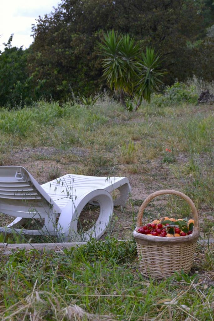 Un cesto di nespole e qualche amarena, 4 giugno
