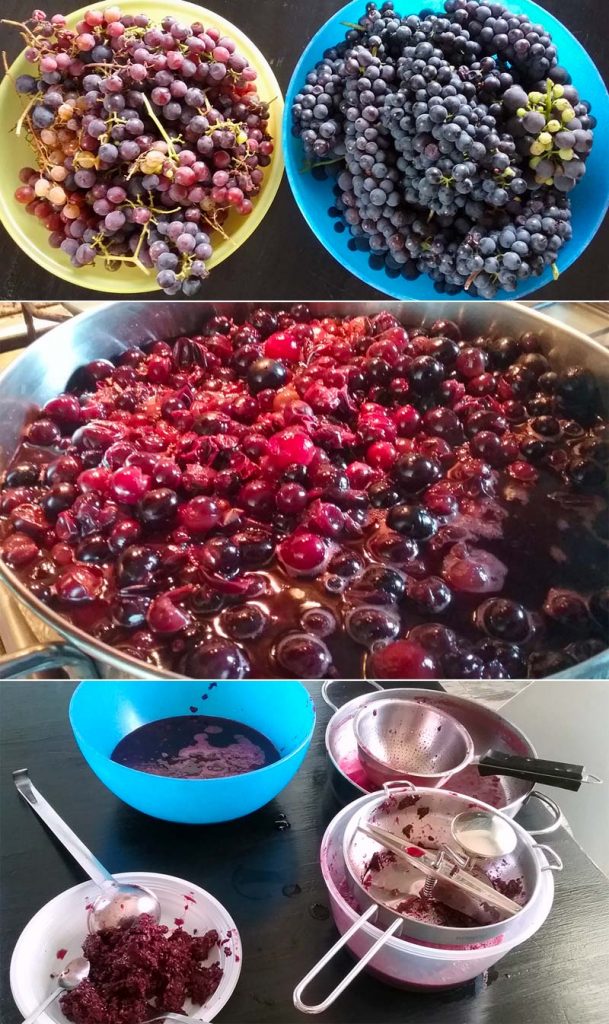 cucina confettura