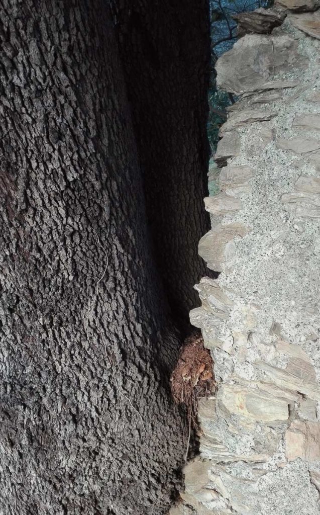 Legno e pietra, fianco a fianco