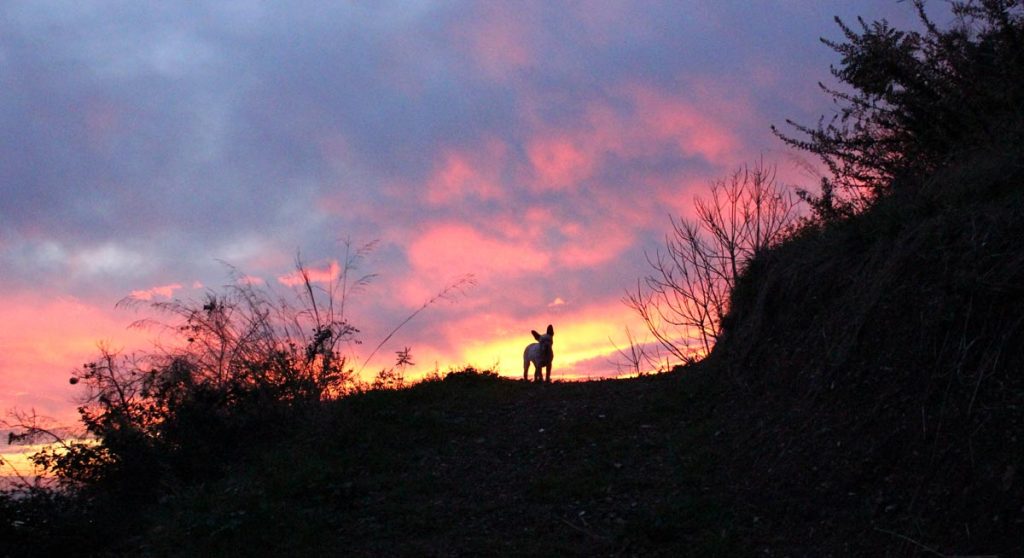 loretta tramonto