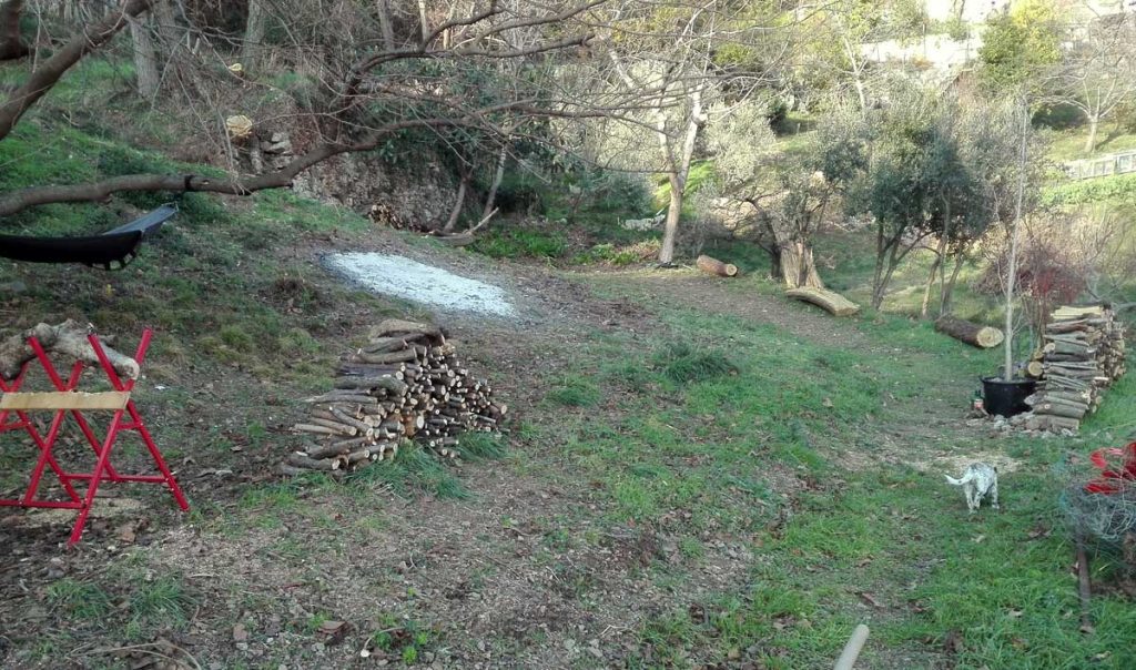 Radura, 16 dicembre