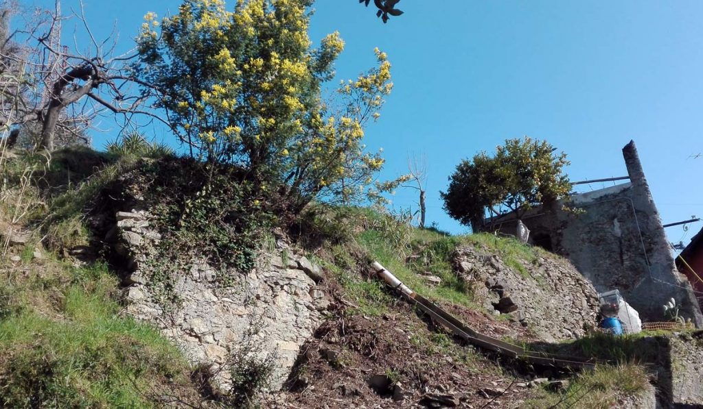 cisterna