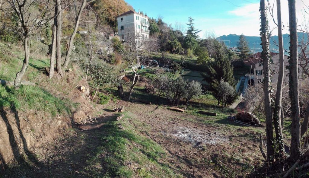 La stessa zona vista dall'alto, arrivando dal bosco degli ailanti e guardando a est