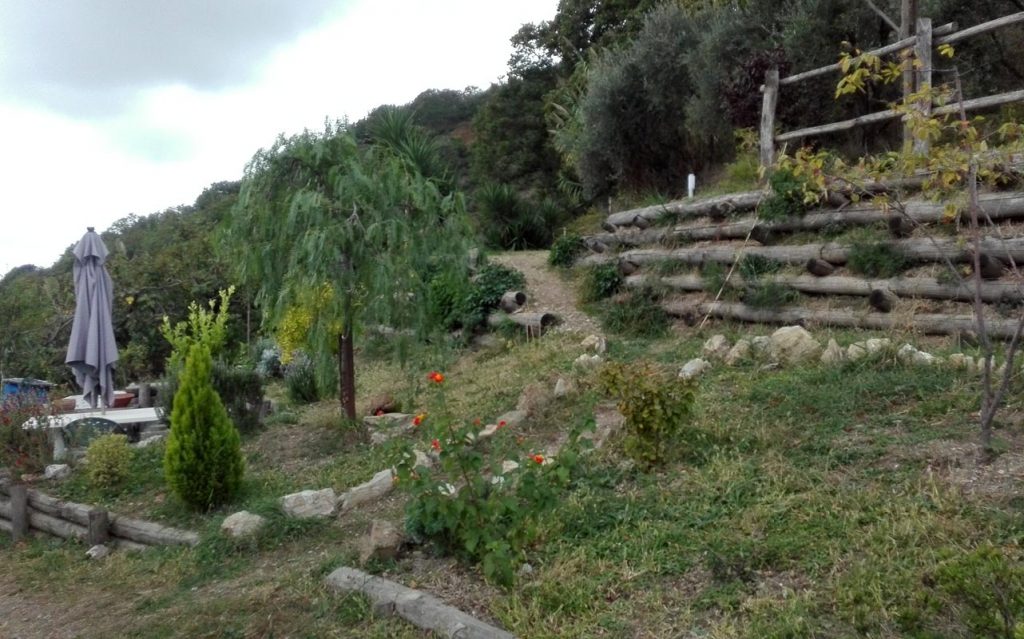 aiuola