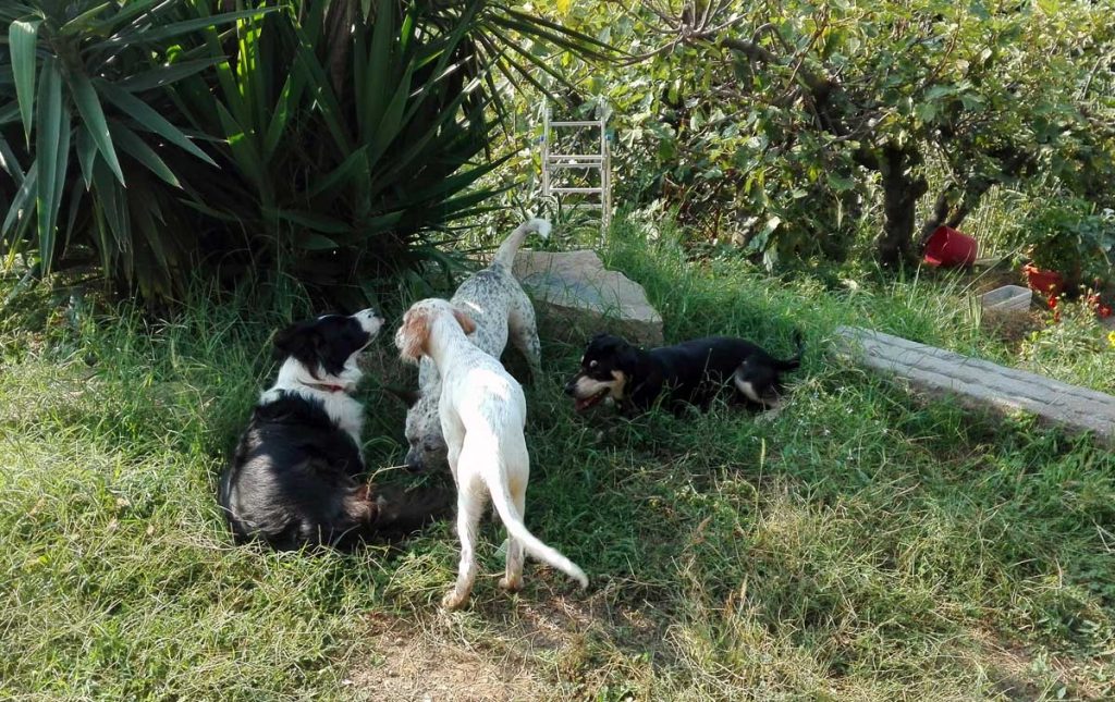Loretta con un po' di amici, 15 settembre
