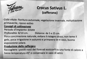 istruzioni zafferano