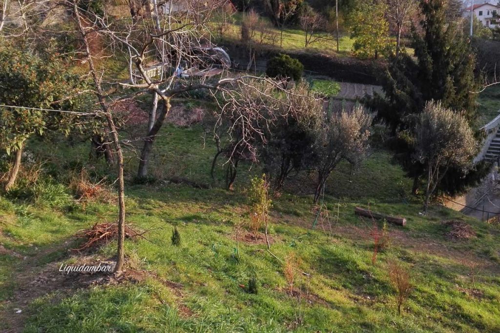 giardino giappo