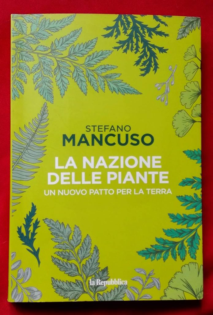 copertina mancuso