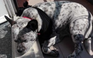 Loretta con maglietta