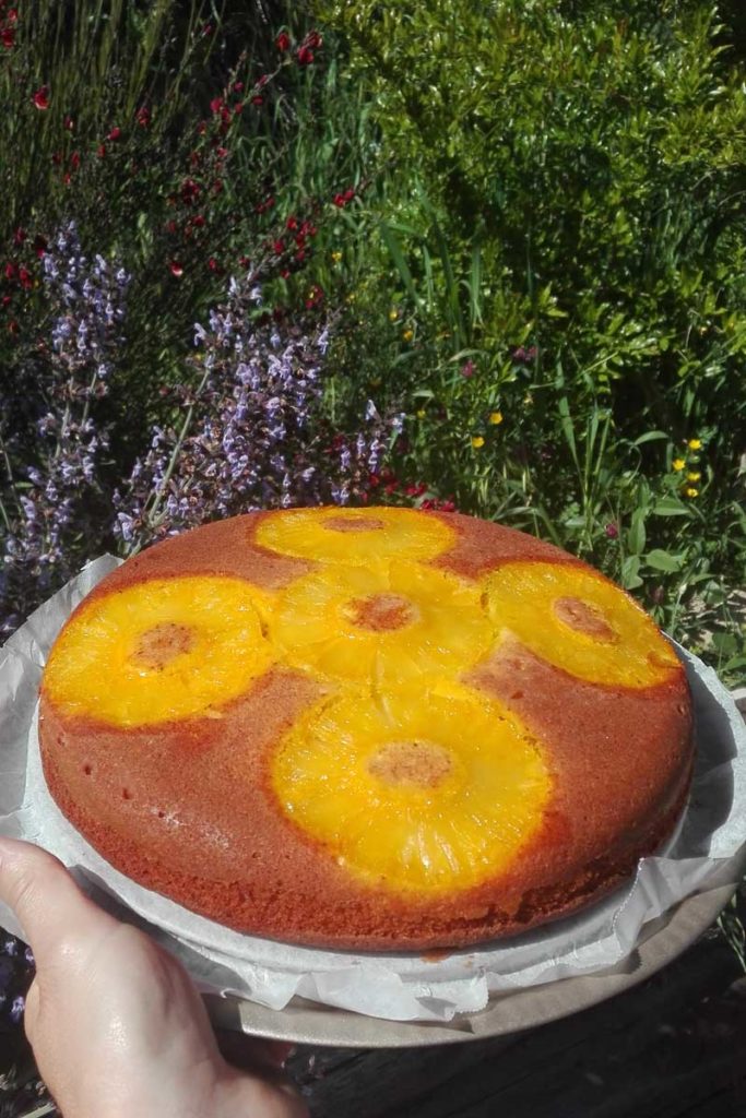 clafoutis tuchel