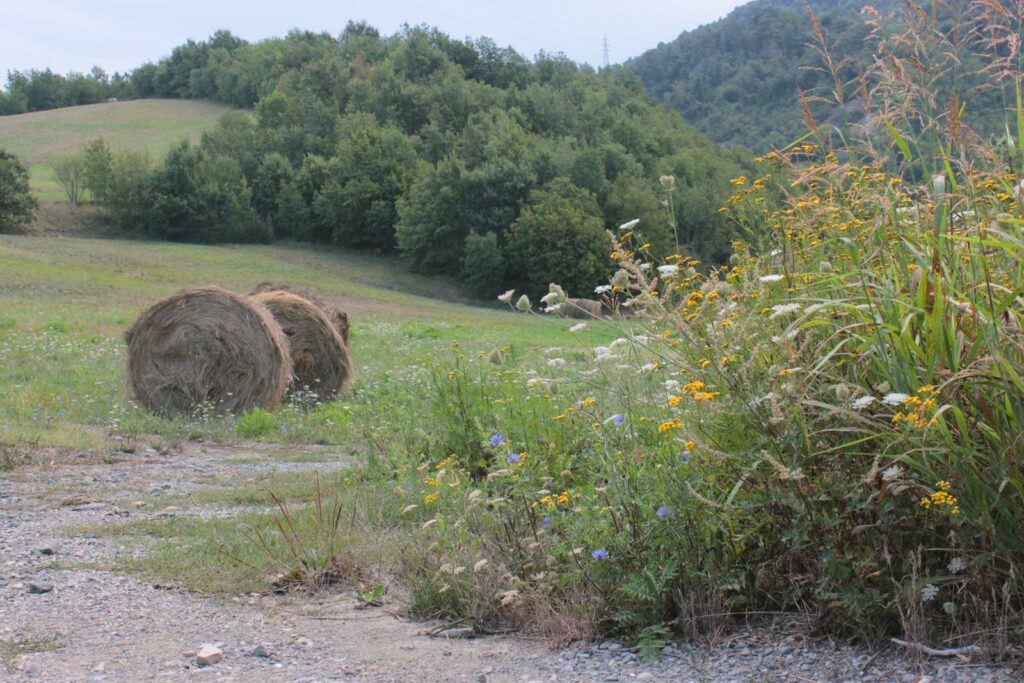 balle campagna