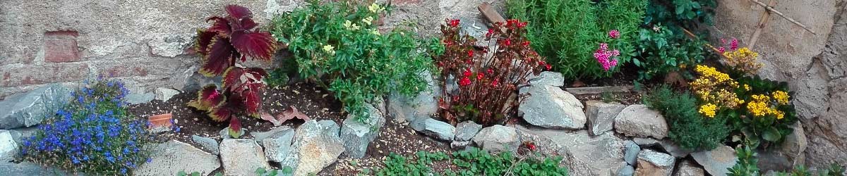 Il giardino di Laura