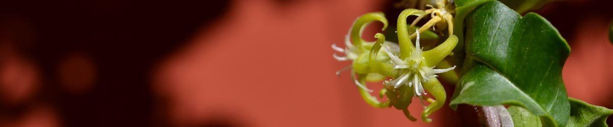 Piccoli passi, piccole novità
