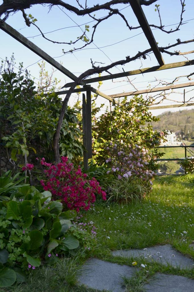 giardino Tino