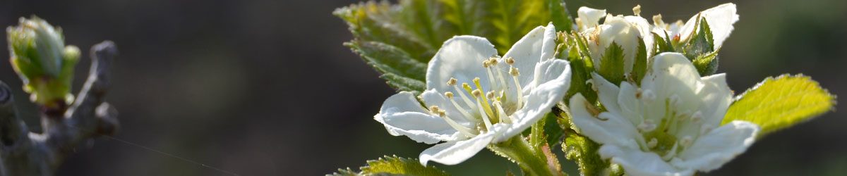 Tante emozioni, e un ritorno
