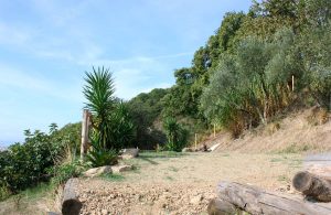 spagna ponente