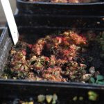 drosera back table