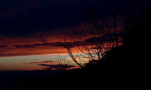 tramonto 15