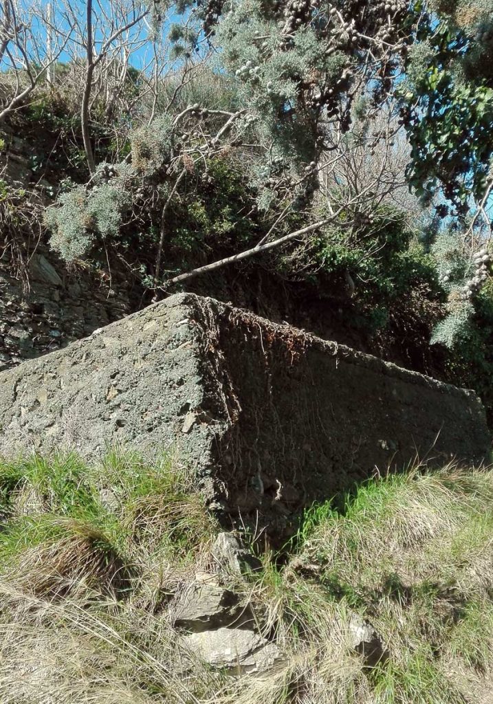 cisterna