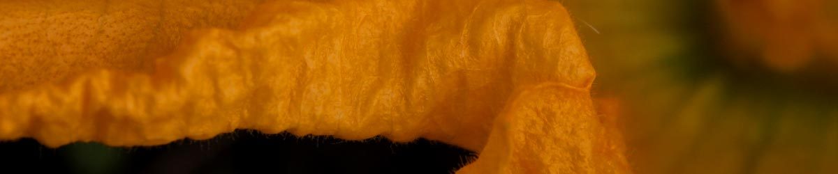 È nata una stella (e non sarà l’unica)