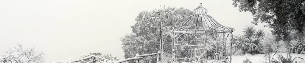 neve gazebo