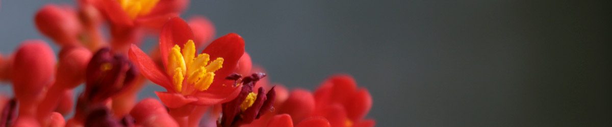 Le altre di marzo