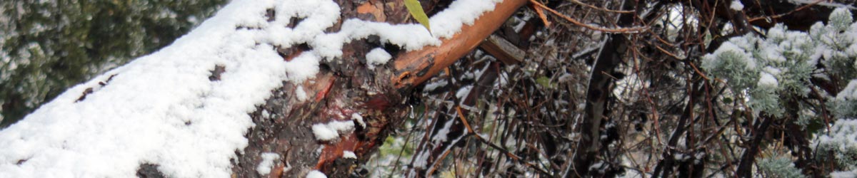 Un po’ di neve