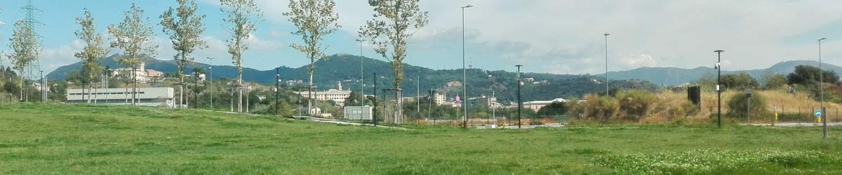 Transizione ecologica? Ancora no, grazie!